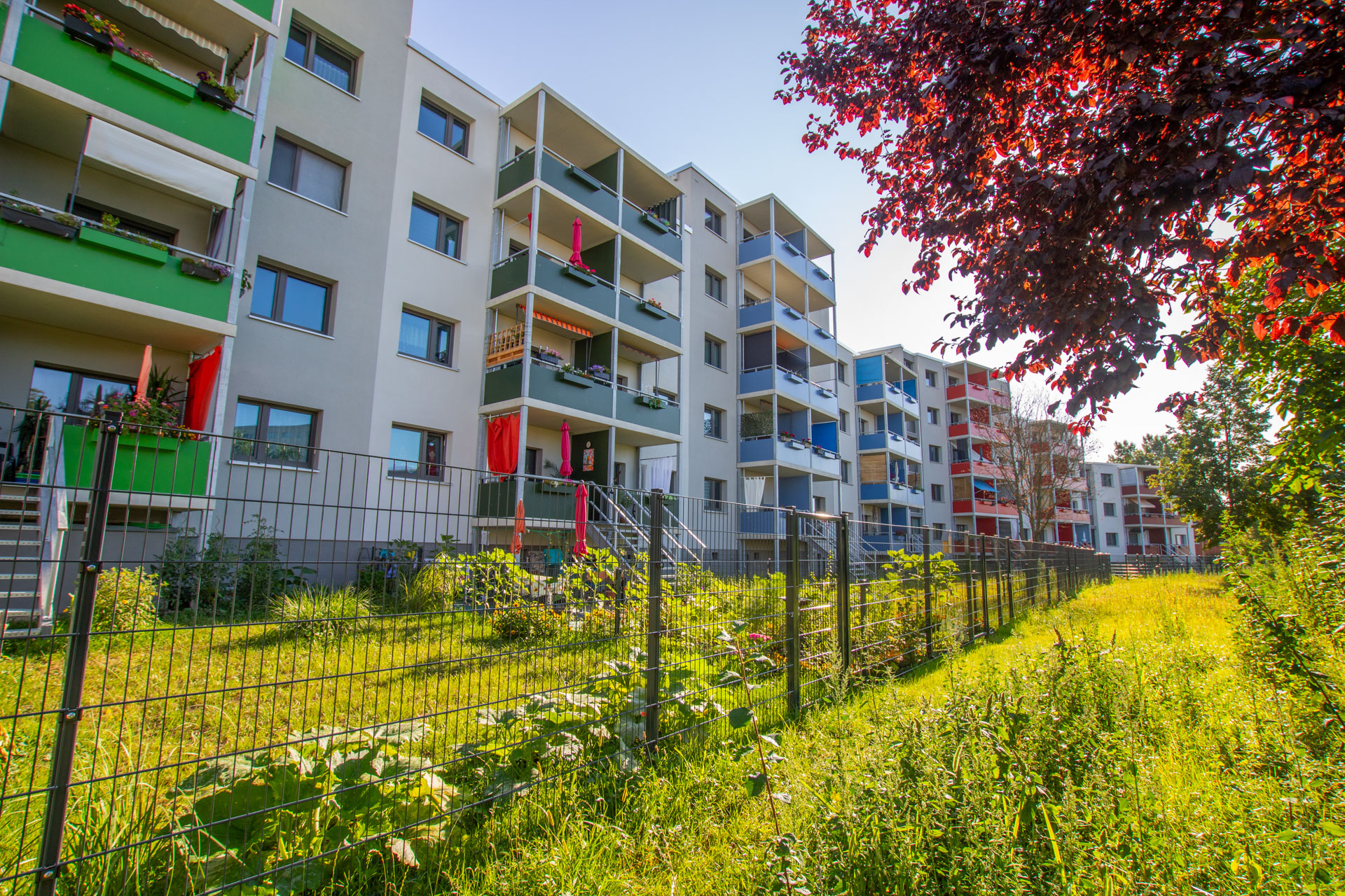 Wohnblock mit bunten Balkonen vor einer grünen Wiese und einem rötlich schimmernden Baum durch den die Sonne versucht zu scheinen